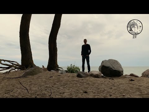 Видео: Лягушка у пруда | 11 быков дзен. Серия 9