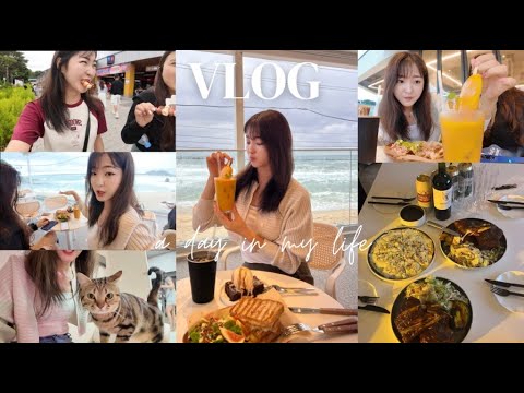 Видео: VLOG Далай явж сэтгэлээ сэргээв🌊 l Аялал✨