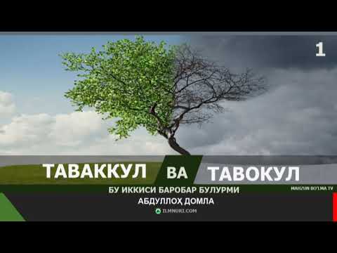 Видео: БУ ИККИСИ БАРОБАР БЎЛУРМИ? - АБДУЛЛОХ ДОМЛА