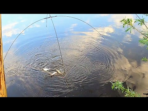 Видео: Эта снасть не оставит без улова! Ловля рыбы на паук-подъёмник. Рыбалка 2022