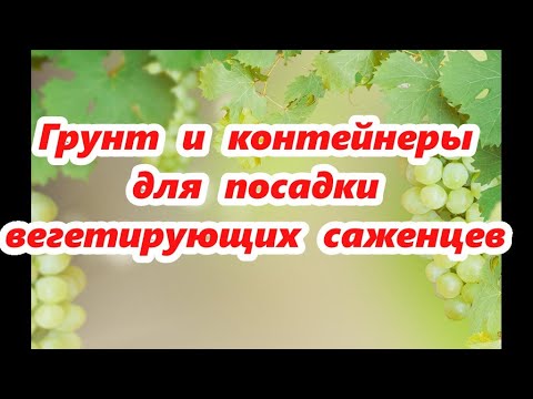 Видео: Грунт и контейнеры для посадки вегетирующих саженцев. Мой тел. 89045367113 ( Viber)