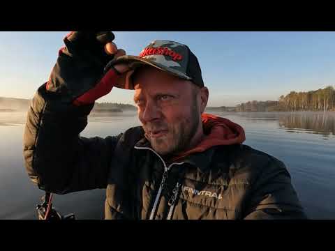 Видео: Ловля ЩУКИ НА БОЛОТЕ! Рыбалка на СПИННИНГ ОСЕНЬЮ с ЛОДКИ! Воблеры и крупный силикон!