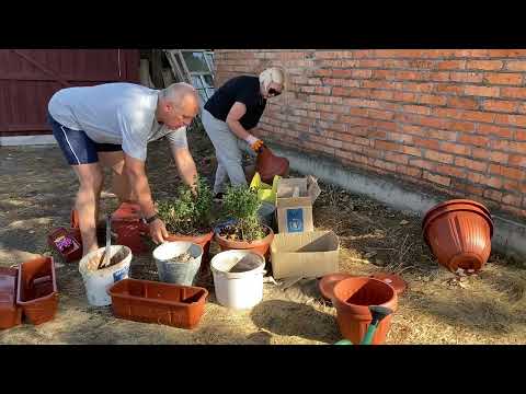 Видео: Из города в село. С Мишаней на луг, ищем кротовые ямы. Два дня это не делали. Кем работают Журавлевы