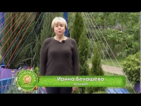 Видео: Сады и люди. Ландшафтные хитрости. Выпуск 109