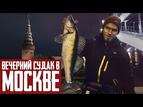 Видео: Вечерний СУДАК в центре МОСКВЫ. СТРИТФИШИНГ