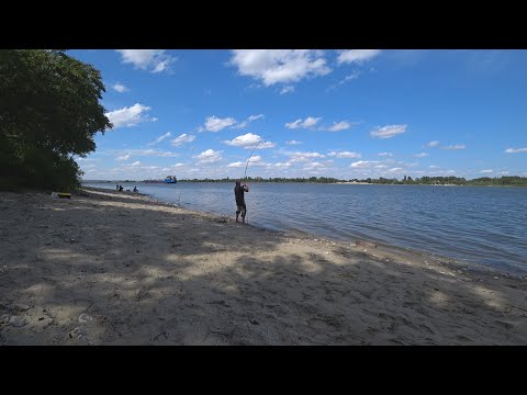 Видео: Рыбалка на Дону! Как поймать сазана? рыбалка 2020