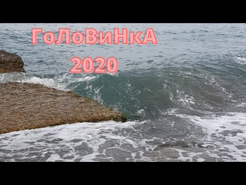 Видео: Черное море Головинка.Что по ценам.Пляж.Тюльпановое дерево