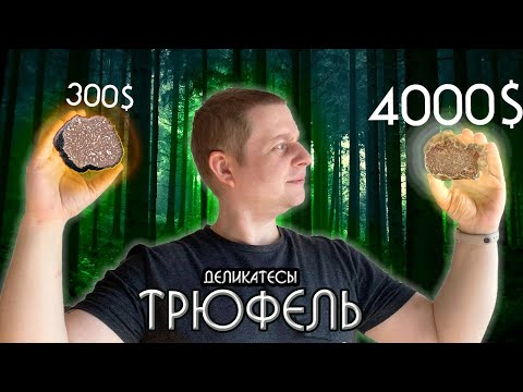 Видео: Трюфель. Почему так дорого? Не простая история подземного деликатеса