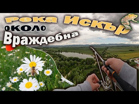 Видео: Река Искър около Враждебна.