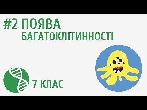 Видео: Поява багатоклітинності #2