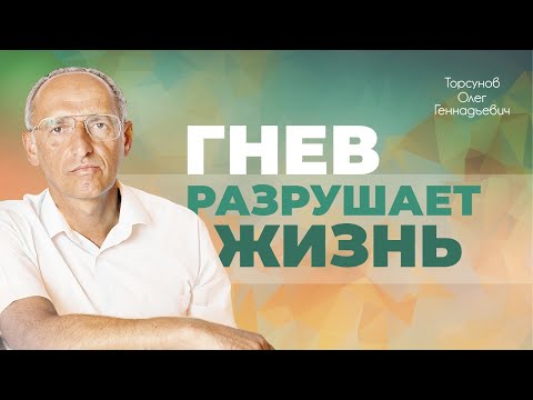 Видео: Не злитесь и не злите других (Торсунов О. Г.)