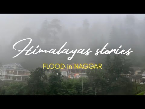 Видео: Сильнейшее наводнение в Гималаях! Такого не было 30 лет! / North India Floods 2023