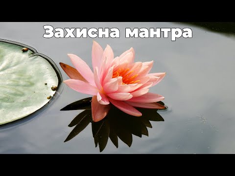 Видео: ГАТЕ ГАТЕ потужна мантра захисту! #мантра #захист #всесвіт#gate#mantra