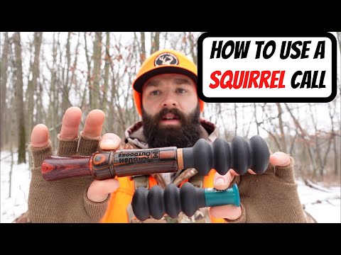 Видео: КАК ПОЛЬЗОВАТЬСЯ МАНЧКОМ ДЛЯ ОХОТЫ НА БЕЛКУ - Советы по охоте на белок