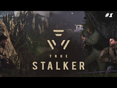 Видео: ПРИБЫТИЕ TRUE STALKER #1