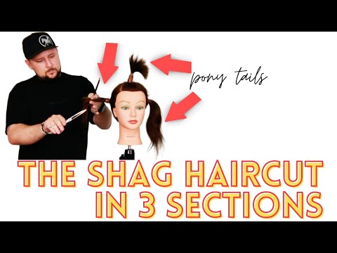 Видео: Как сделать стрижку «шег» из 3 секций — трендовая стрижка «шег» в стиле TIKTOK — стрижка «шег» с ...