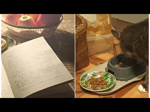 Видео: Вечер пятницы 🌜  Мою плиту💦 Наши будни 🍂