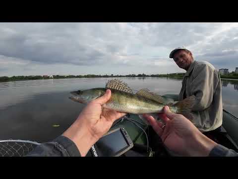 Видео: Рибалка з човна, озеро Басів Кут. Ловля судака