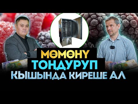 Видео: Мезгил бүттү   киреше калды! Шоковый заморозка мөмө өстүрүүчүлөрдүн негизги көйгөйүн кантип чечет?