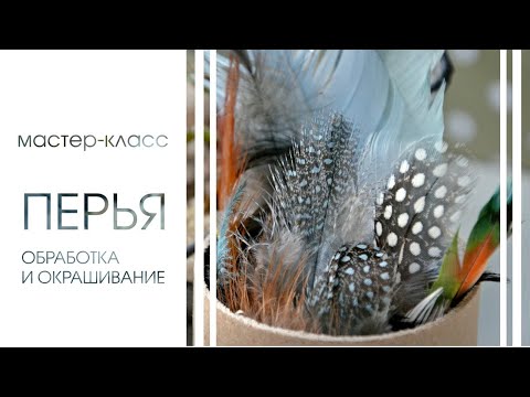 Видео: ОБРАБОТКА И ОКРАСКА ПЕРЬЕВ. Подробный мастер-класс