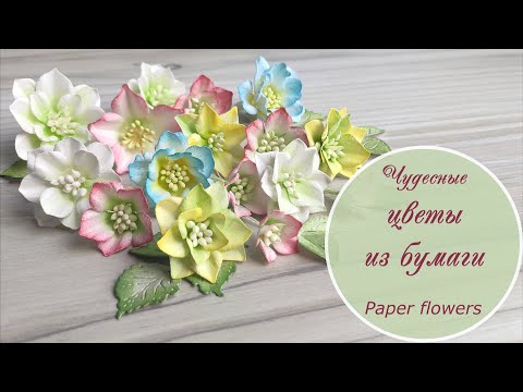 Видео: Чудесные цветы из бумаги / Paper flower tutorial