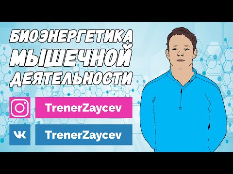 Видео: 02. Биоэнергетика мышечной деятельности
