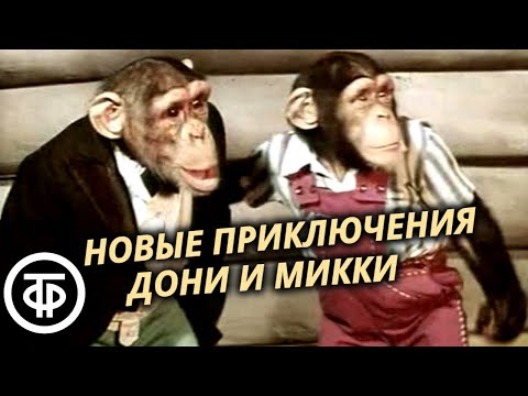 Видео: Новые приключения Дони и Микки. Художественный фильм (1973)