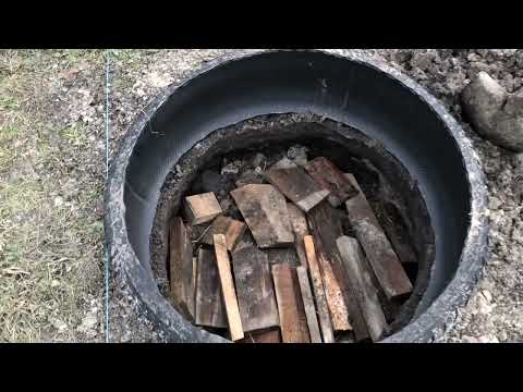 Видео: Посадка лохини взимку