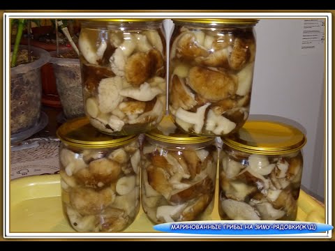 Видео: 58.МАРИНОВАННЫЕ ГРИБОЧКИ "РЯДОВКИ" НА ЗИМУ!!!БЫСТРЫЙ И ВКУСНЫЙ СПОСОБ ПРИГОТОВЛЕНИЯ!!РЕКОМЕНДУЮ!!!