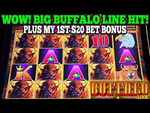 Видео: О боже! Мой самый крупный бонус за ставку на слоте Buffalo Link, и погоня за счетчиком приносит о...