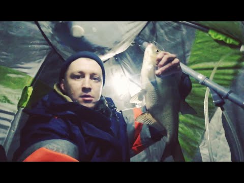 Видео: НЕ ЗРЯ ШЛИ ПЕШКОМ,ИВАНЬКОВСКОЕ ВОДОХРАНИЛИЩЕ,МОГИЛЬНЫЙ