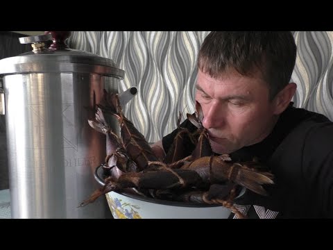 Видео: Коптильня Peter Kohler КОПТИТЬ ПРЯМО ДОМА! Копчёная рыба скумбрия и карась!