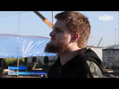 Видео: 23 мая 2025 г.