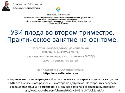 Видео: УЗИ плода во втором триместре. Практическое занятие на фантоме.