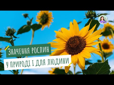 Видео: Роль вищих рослин у природі та житті людини