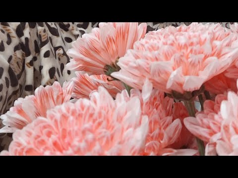 Видео: 25.10.25.Очень холодный октябрь.  2 праздника в один день. Чуть было непопала в реанимацию....🤯🤯🤯