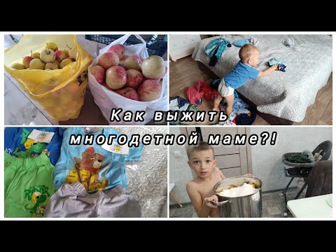 Видео: Переработка яблок🍏Б/У вещи• Покупки на 1.6 года🛍️Тяжёлое начало сентября🍁 #влог #уборка #обзоры