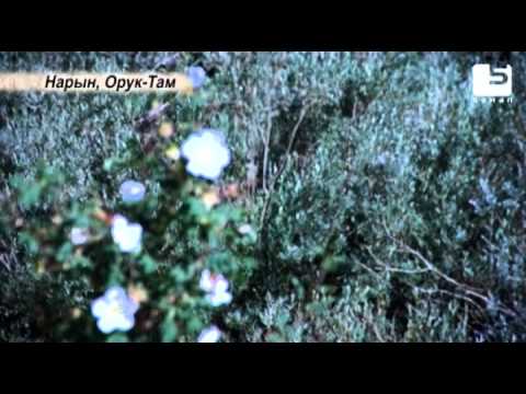 Видео: Кыштакча: 9 Орук Там