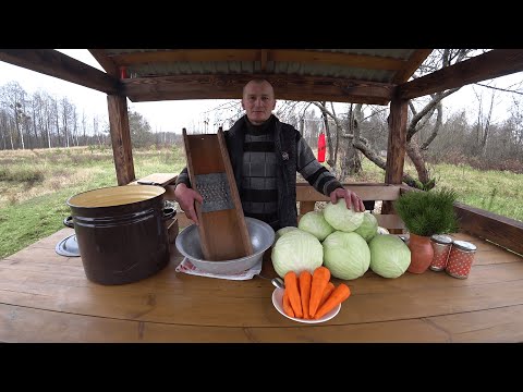 Видео: ХУТОР в ЛЕСУ на КРАЮ БОЛОТА. ЛЮБИМЫЙ ОСЕННИЙ САЛАТ, НАКОРМИТЬ МОЖНО ВСЮ ДЕРЕВНЮ. №222