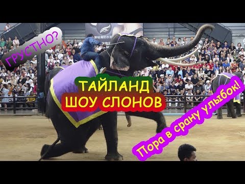 Видео: Тайланд Шоу СЛОНОВ Паттайя/Thailand ELEPHANT Show in Pattaya