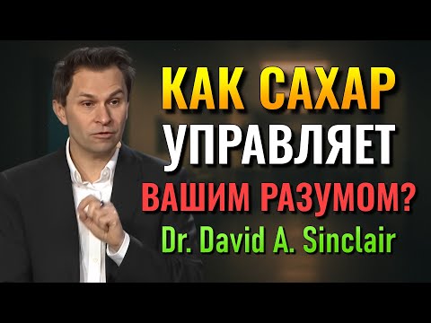 Видео: Как сахар контролирует ваш разум, выйдите из этого лабиринта (Dr. David Sinclair)