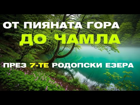 Видео: Пьяный лес и нефритовые озёра Родопских гор | От Триграда до Чамлы через Чаирские озёра