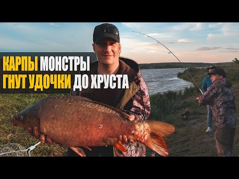 Видео: ТА САМАЯ РЫБАЛКА КОТОРУЮ ЖДЁШЬ ВСЮ ЖИЗНЬ. Жор крупного карпа.