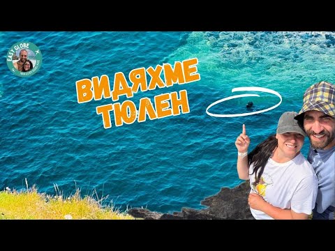 Видео: НА МОРЕ Еп. 3| Видяхме тюлени в естествената им среда| Красиви плажове | Summer holiday UK