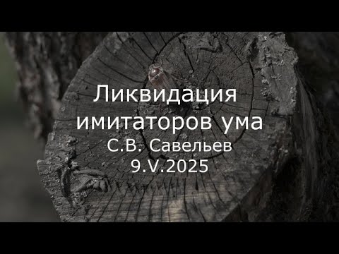 Видео: С.В. Савельев - Ликвидация имитаторов ума