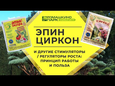 Видео: Эпин, Циркон и другие стимуляторы роста растений