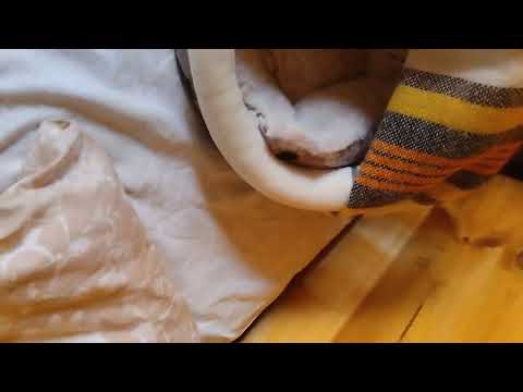 Видео: Матюша не дает мне поспать 🤣🤣