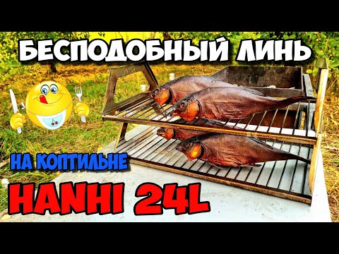Видео: Просто сказочный Линь на коптильне Hanhi 24 литра . Коптим на даче . Дегустация от Зои !!!