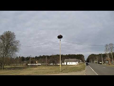 Видео: Вспоминаю Беларусь... И мамину хаточку.