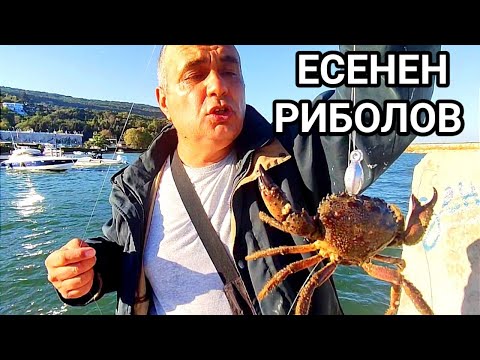 Видео: МОРСКИ РИБОЛОВ НА ПОПЧЕТА, РАК - ПАГУР И ... ЛОШ ЮЖЕН ВЯТЪР И ТРИ БАЛА КЪСА ВЪЛНА! МОРЕТО ЗАВРЯ...